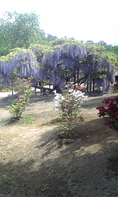 c0089719_0311333.jpg