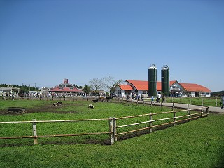 e0085219_9331337.jpg