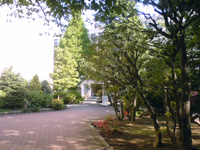 c0012120_18511020.jpg
