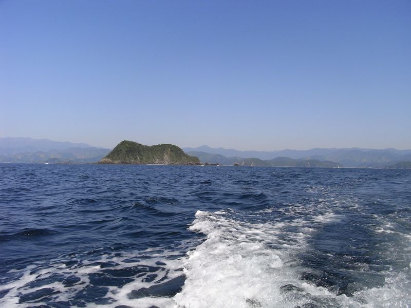 f0140720_1431217.jpg