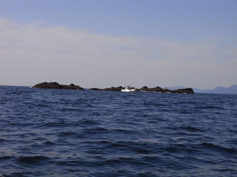 f0140720_1454578.jpg