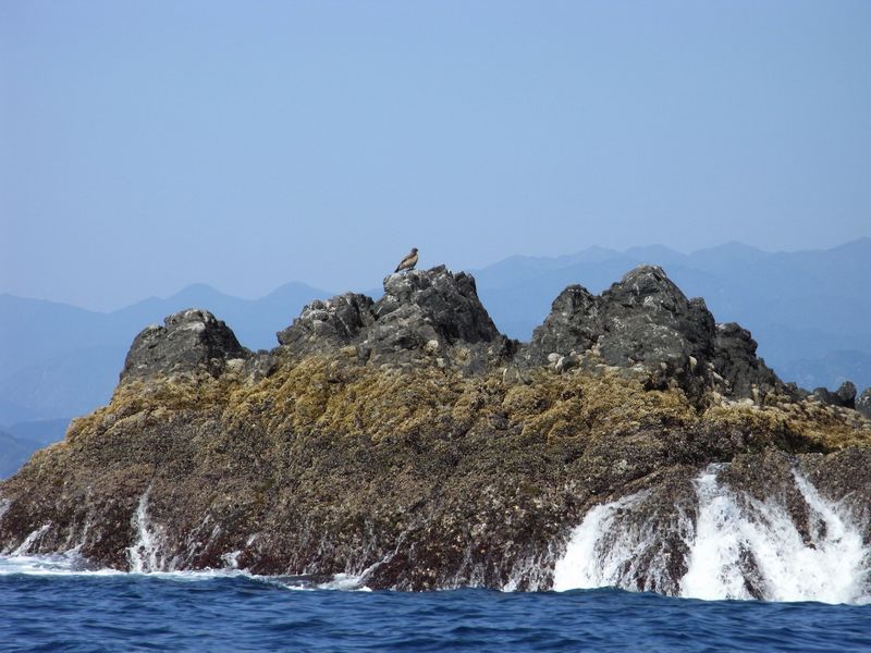 f0140720_1473215.jpg