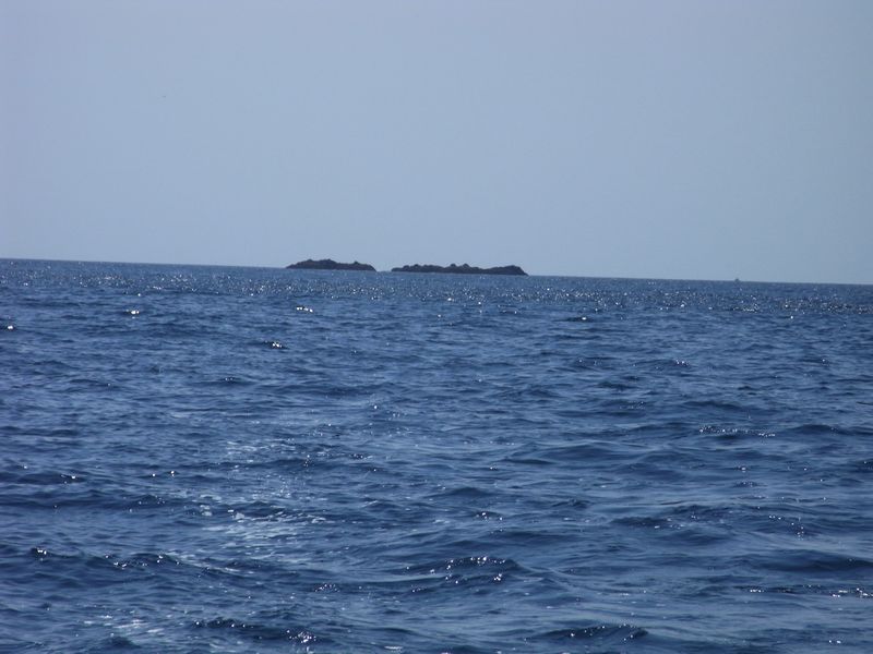 f0140720_1505016.jpg