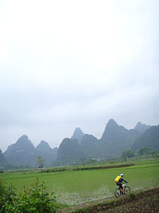 d0023725_033381.jpg