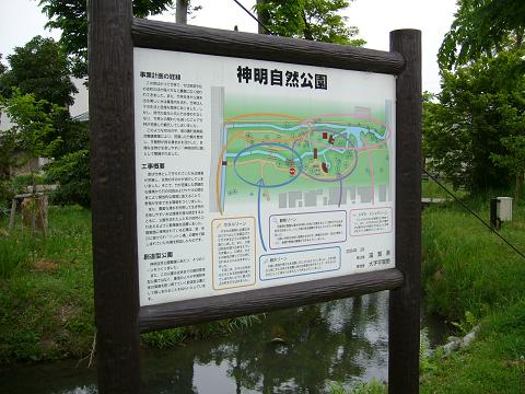 b0138430_10582825.jpg