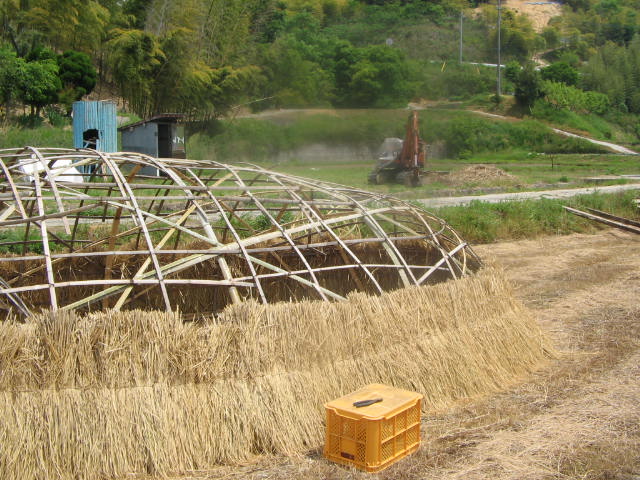 e0129831_17375260.jpg