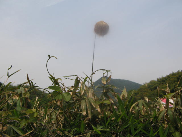 e0129831_17513887.jpg