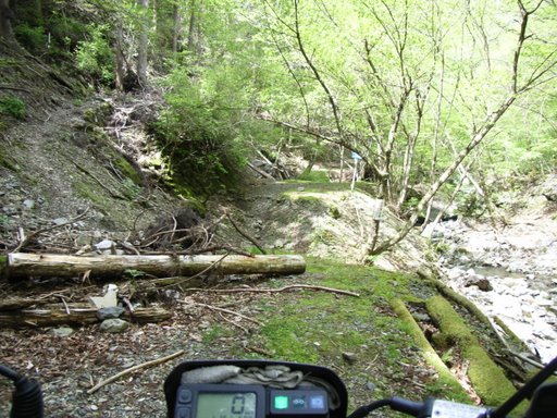 e0063632_17172627.jpg