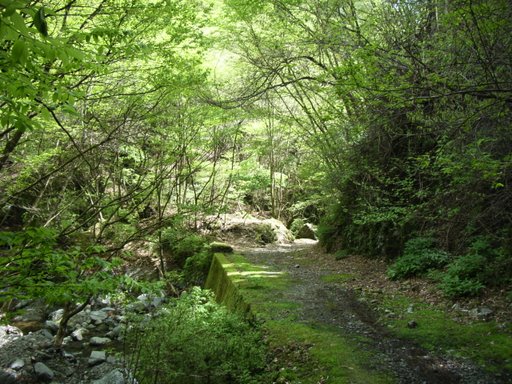 e0063632_1722970.jpg
