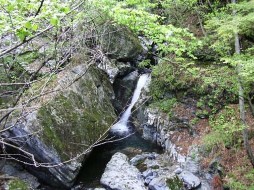 e0063632_17253722.jpg