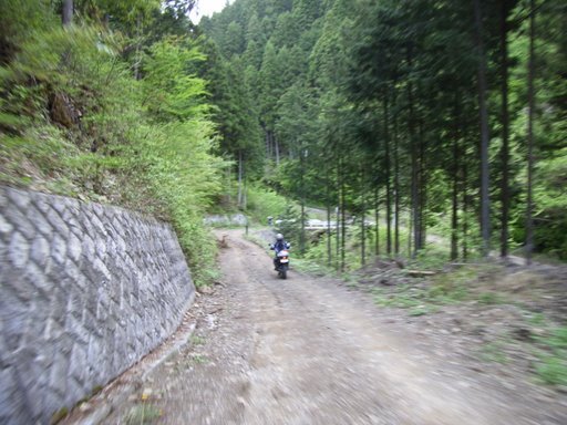 e0063632_173676.jpg