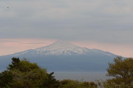 f0118332_13271511.jpg