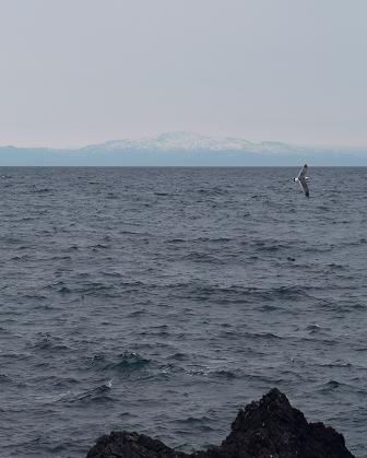 f0118332_13301028.jpg