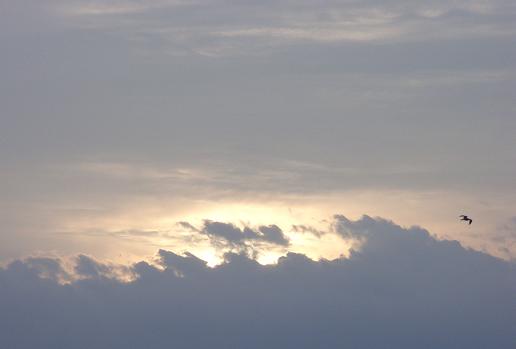 f0118332_13302368.jpg