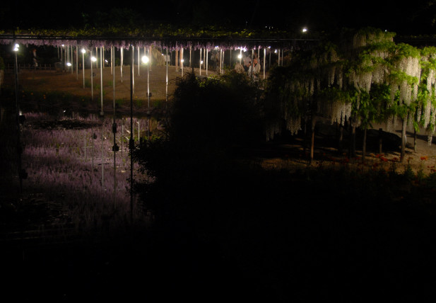 d0091834_14154190.jpg