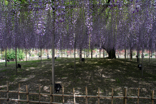 d0091834_14181156.jpg