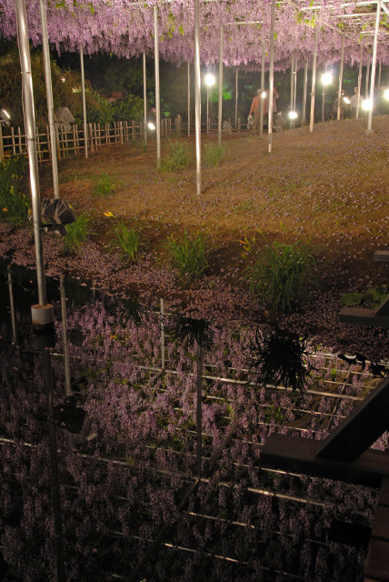 d0091834_14194155.jpg