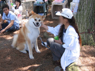 f0008935_12384782.gif