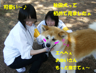 f0008935_12395811.gif