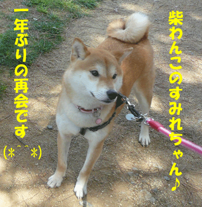 f0008935_12452422.gif