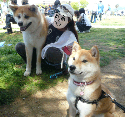 f0008935_12453831.gif