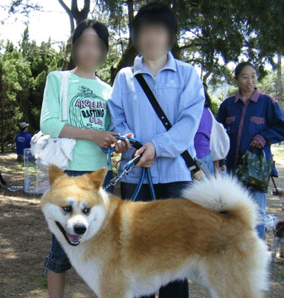 f0008935_1246355.gif