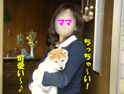 f0008935_16543438.gif