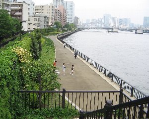 f0122639_10345953.jpg
