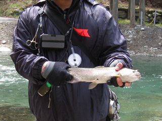 f0065341_1285927.jpg