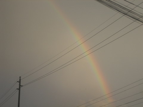 e0018143_14325511.jpg