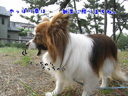 d0013149_83081.jpg