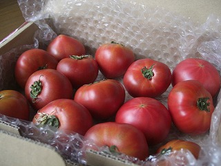 f0009451_8352741.jpg