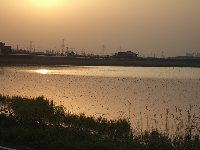 c0097558_11313175.jpg