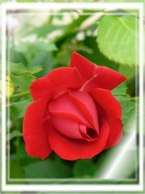 f0074659_23241179.jpg