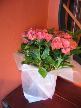 d0128864_18105100.jpg