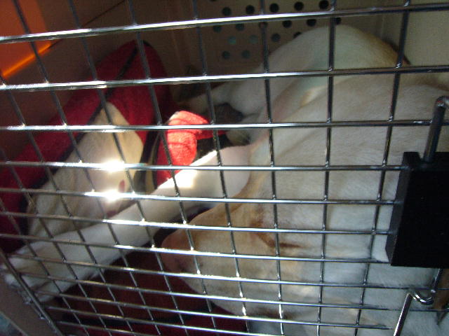 f0057565_175484.jpg