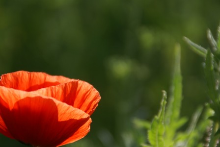 a0091666_23235318.jpg