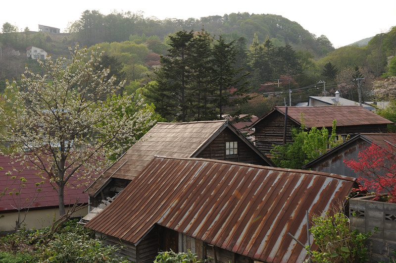 c0084666_1324793.jpg