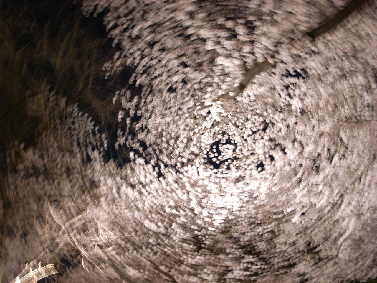 a0103569_23381778.jpg