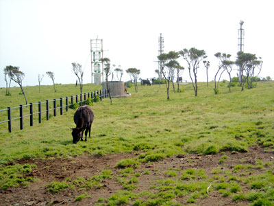 e0097770_19593561.jpg
