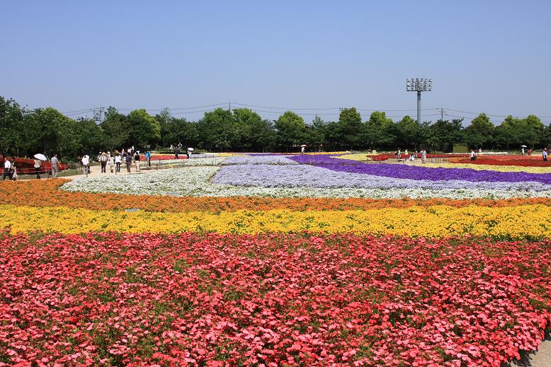 c0153672_1613432.jpg