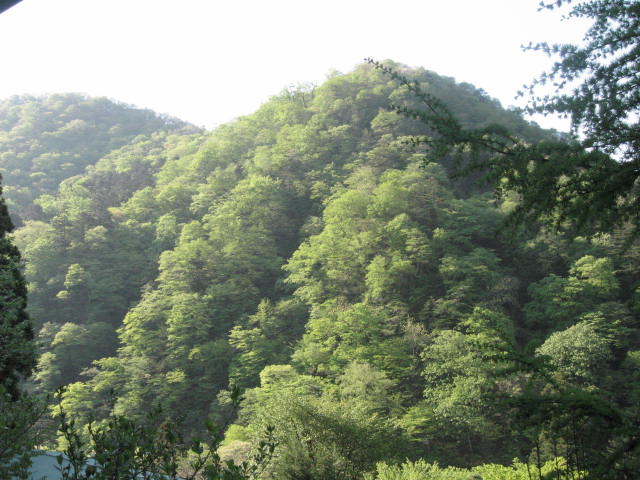 d0070473_12532284.jpg