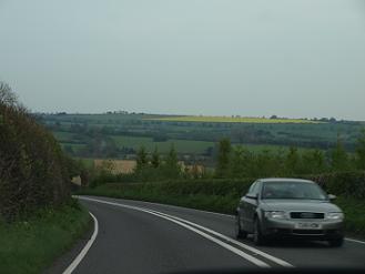 d0041074_543150.jpg
