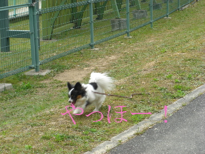 d0116578_21181697.jpg