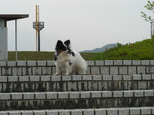 d0116578_21322163.jpg