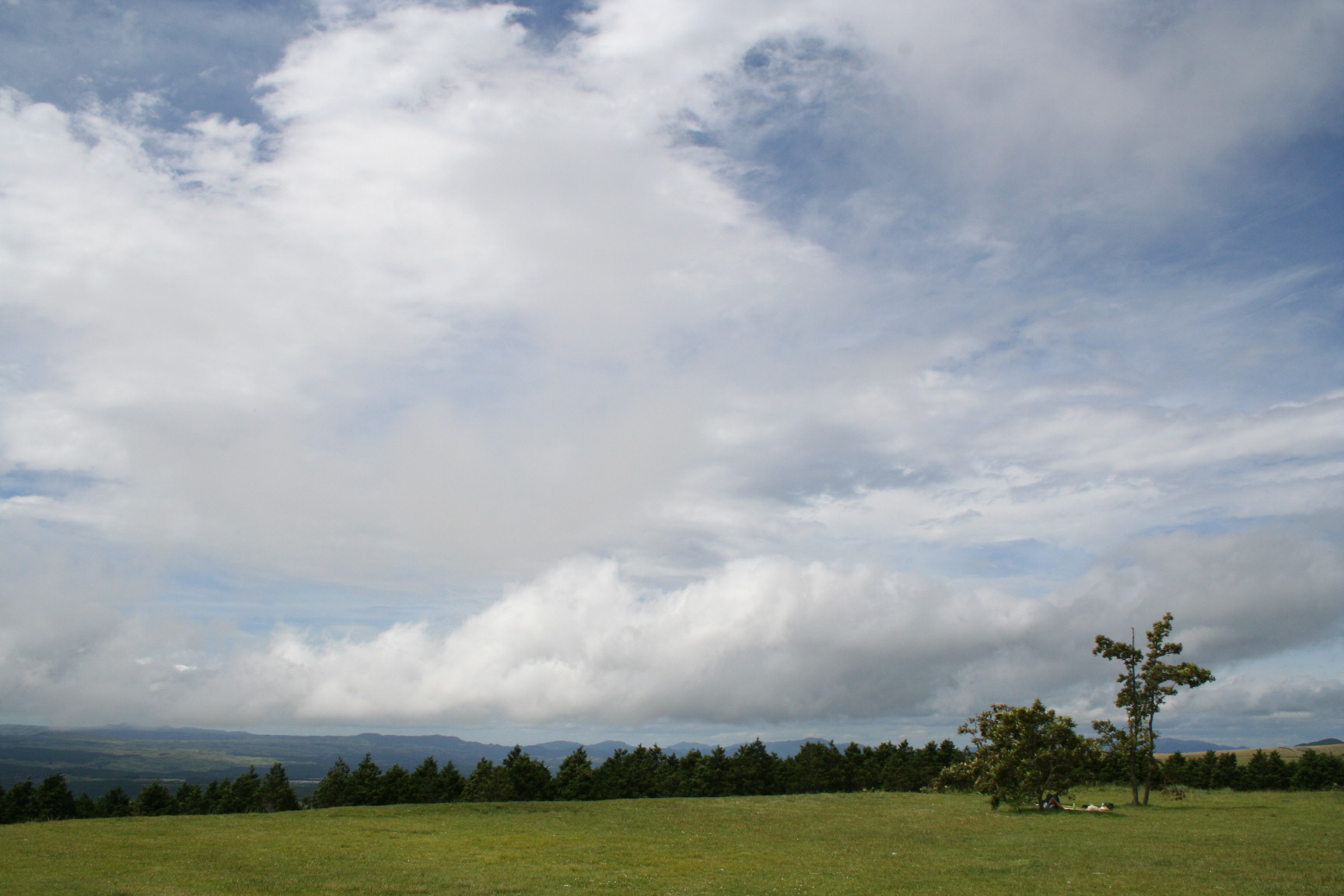 f0167382_1204530.jpg