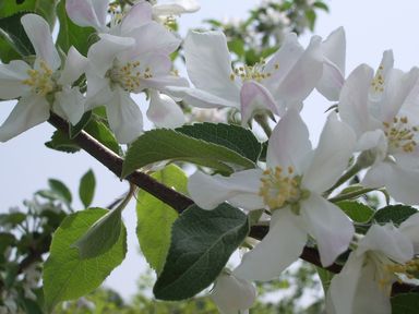 c0144683_1455175.jpg