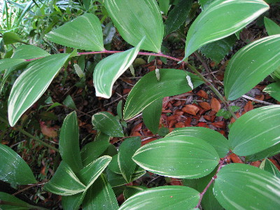 c0132387_23351619.jpg