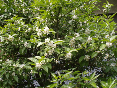 f0130894_19581790.jpg