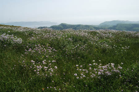d0133295_1029179.jpg